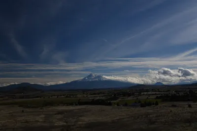 DSC_6771 (Large).JPG